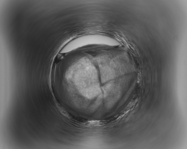 X0000095940052200802081245