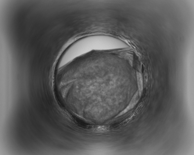 X0000095940056200802081245