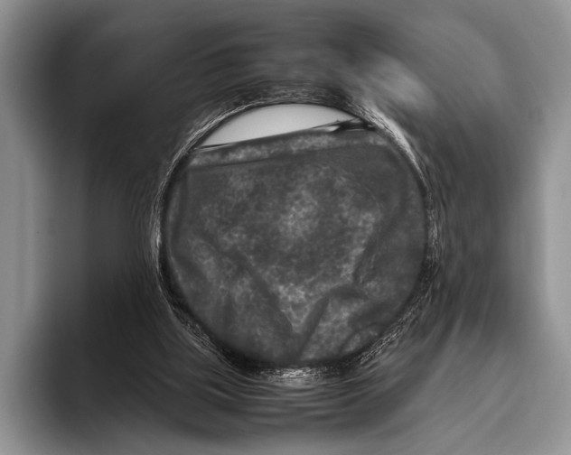 X0000095940059200802081245