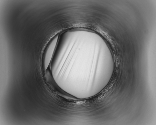 X0000095940060200802081245