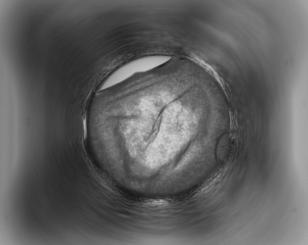 X0000095940061200802081245