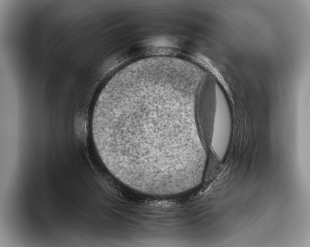 X0000095940063200802081245