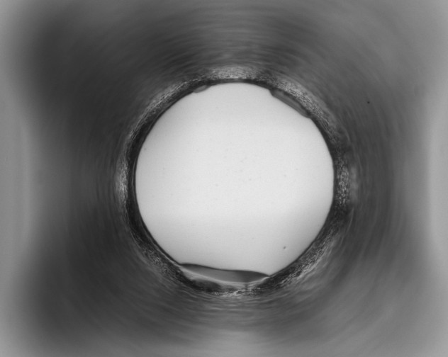 X0000095940064200802081245