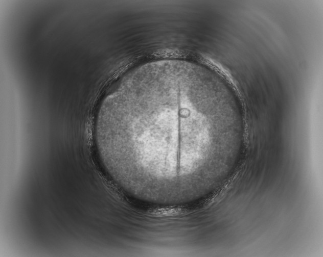 X0000095940065200802081245