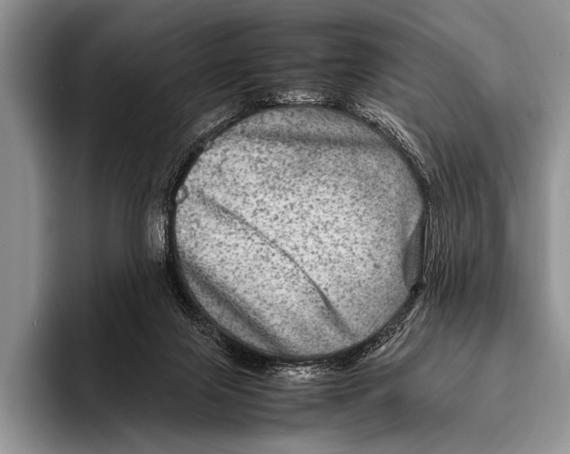 X0000095940071200802081245