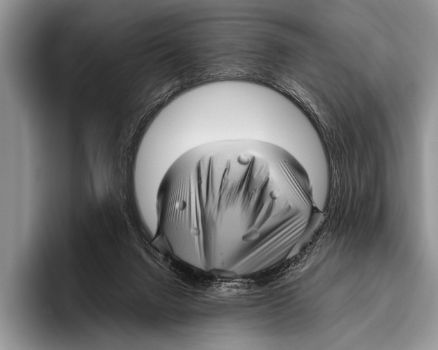 X0000095940072200802081245