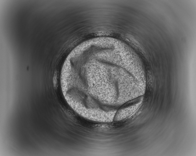 X0000095940074200802081245