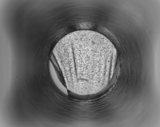 X0000095940075200802081246