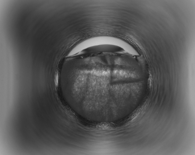 X0000095940076200802081246