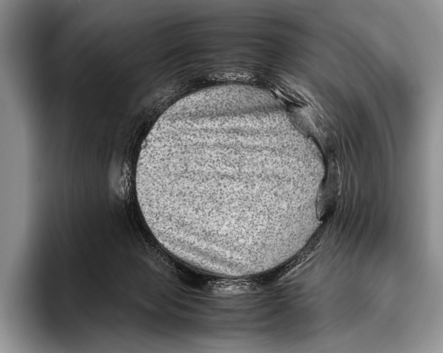 X0000095940077200802081246