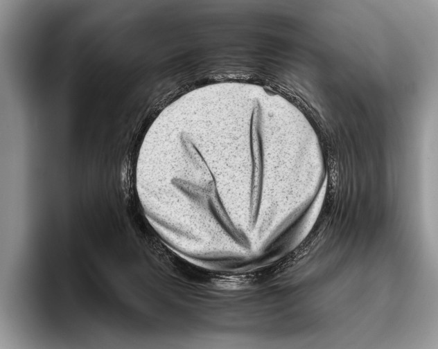 X0000095940079200802081246