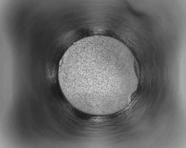 X0000095940082200802081246