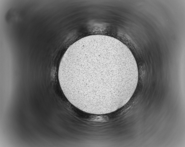 X0000095940083200802081246