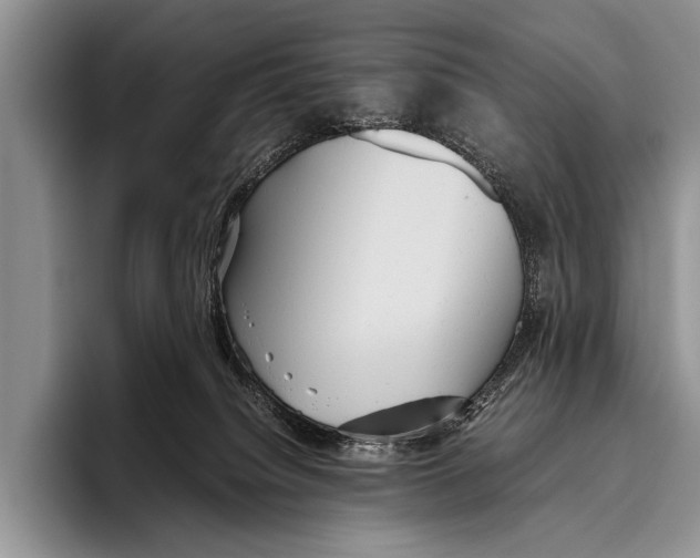 X0000095940084200802081246