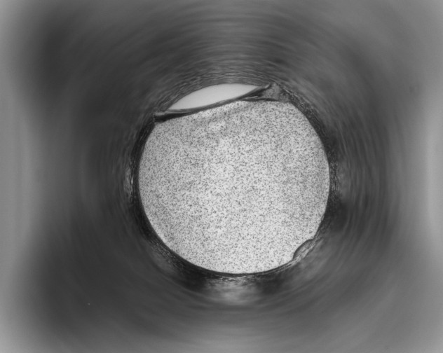 X0000095940086200802081246