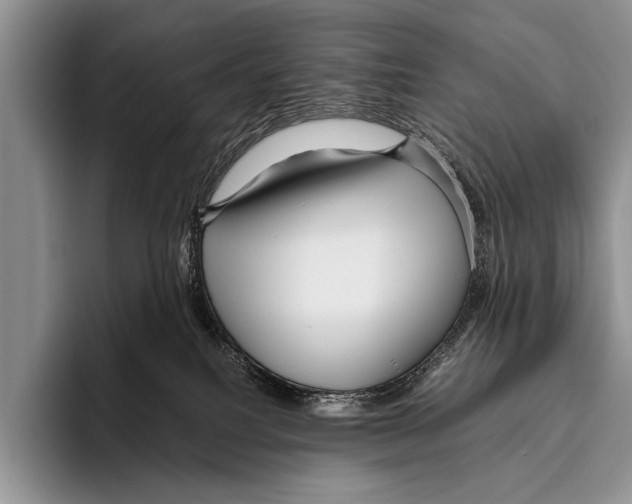 X0000095940088200802081246