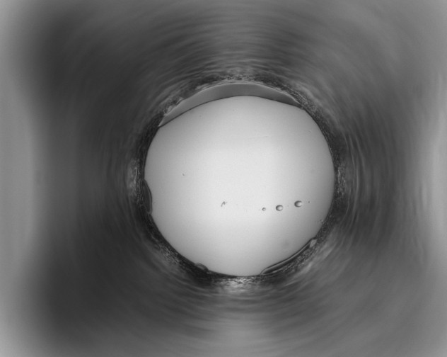 X0000095940092200802081246