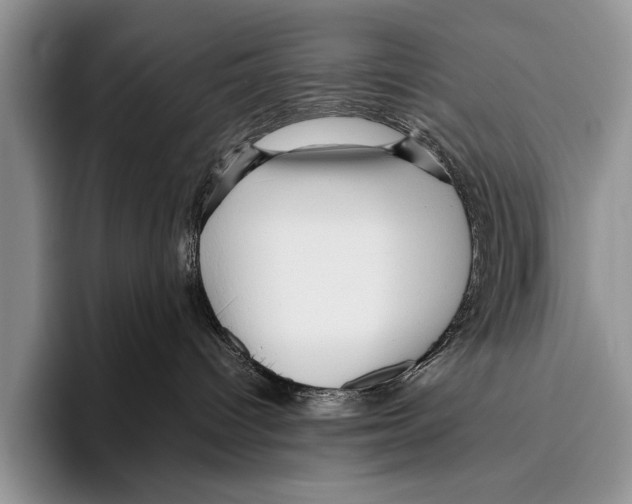 X0000095940096200802081246