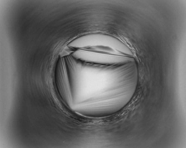 X0000095940097200802081245