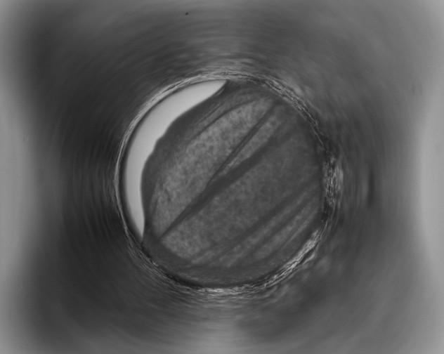 X0000095940100200802081245