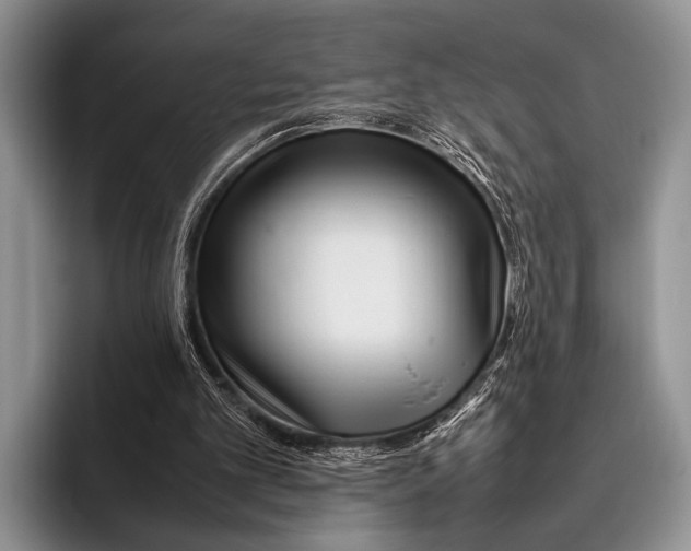 X0000095940101200802081245