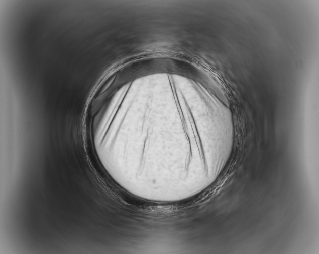 X0000095940102200802081245