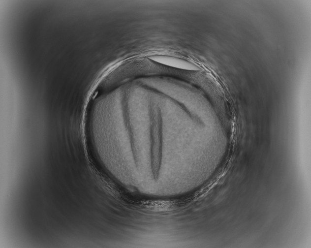 X0000095940104200802081245