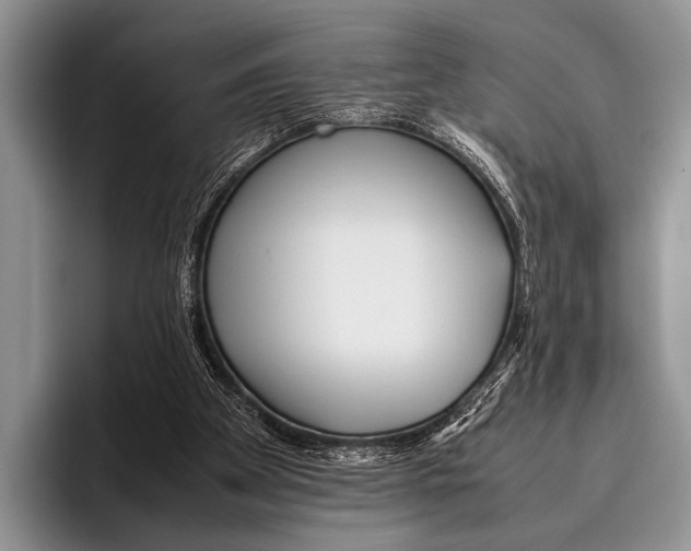 X0000095940105200802081245