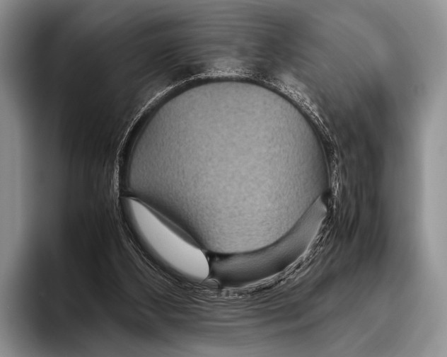 X0000095940108200802081245