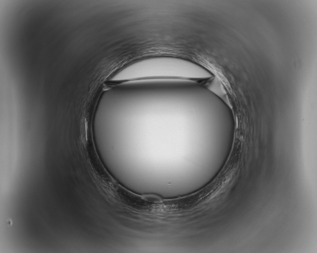 X0000095940109200802081245