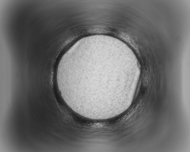 X0000095940111200802081245