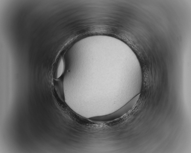 X0000095940112200802081245