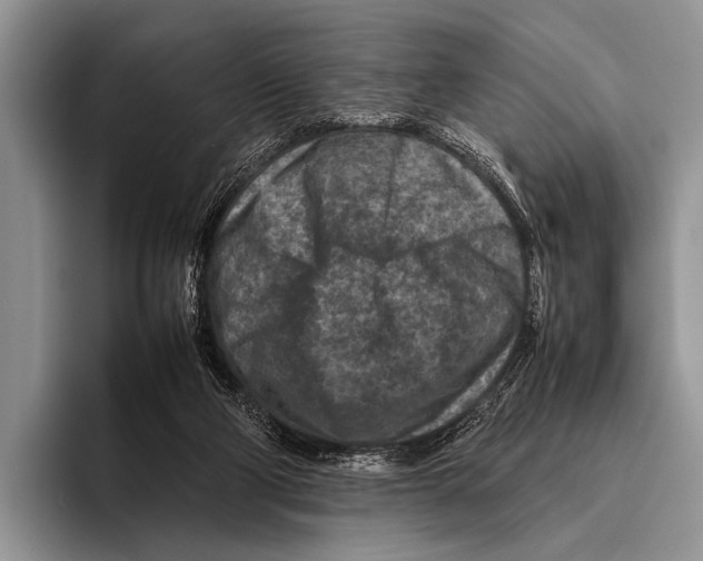 X0000095940114200802081245