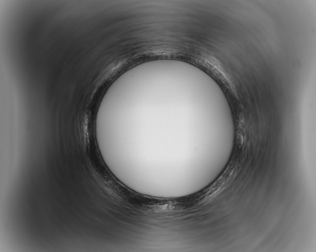 X0000095940116200802081245