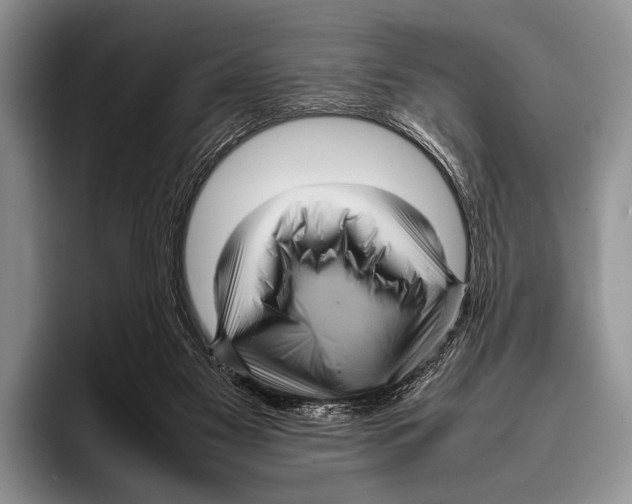 X0000095940117200802081245