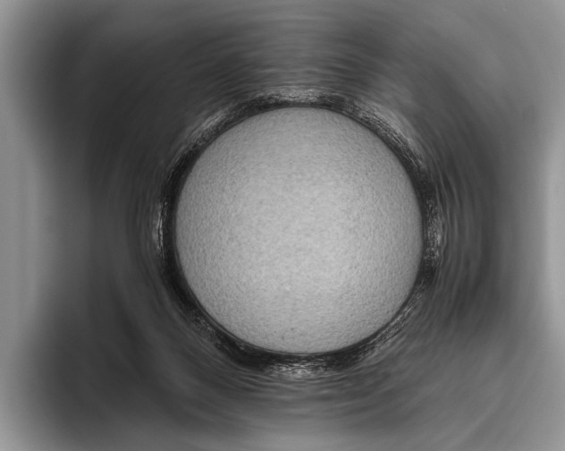 X0000095940120200802081245