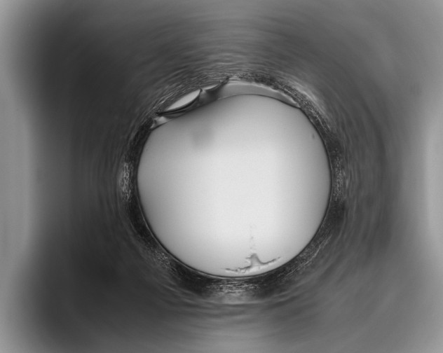 X0000095940121200802081245