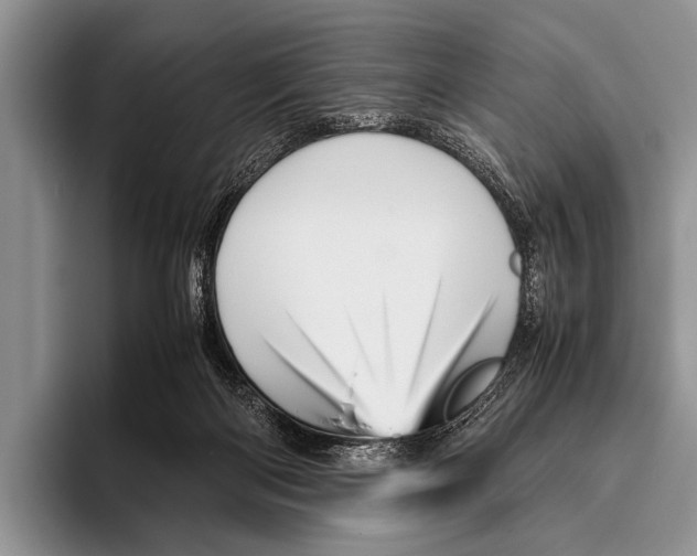 X0000095940122200802081245