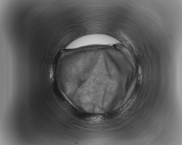 X0000095940124200802081245