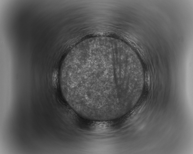 X0000095940127200802081245