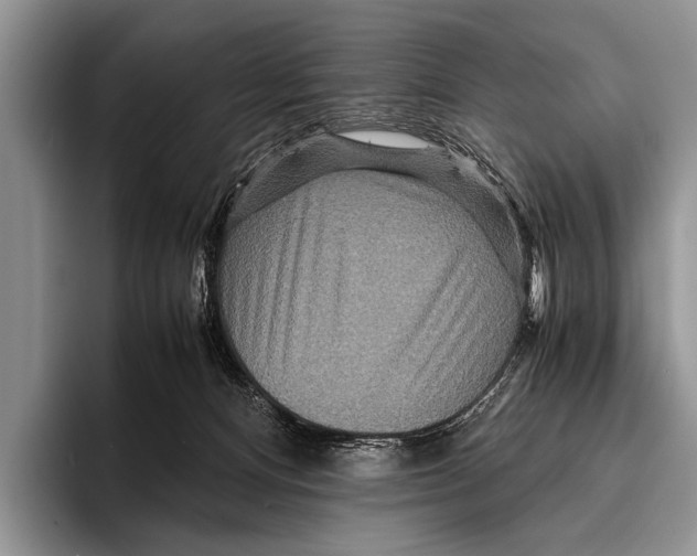 X0000095940128200802081245