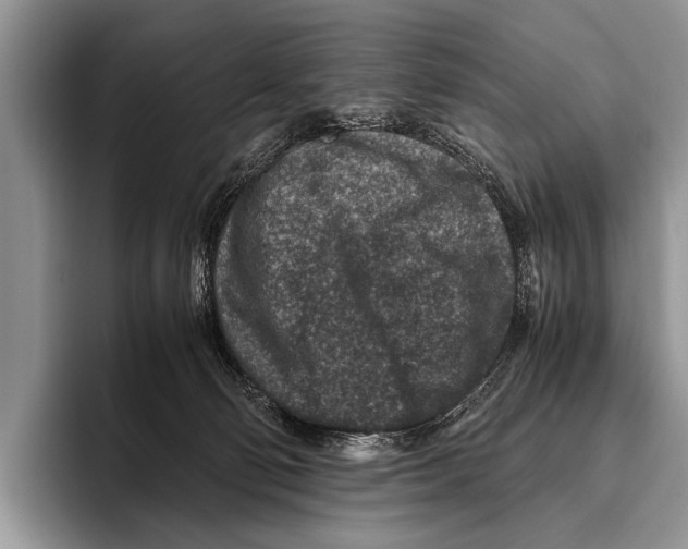 X0000095940130200802081245