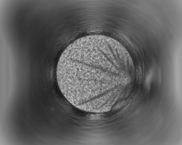 X0000095940134200802081245