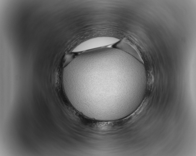 X0000095940136200802081245