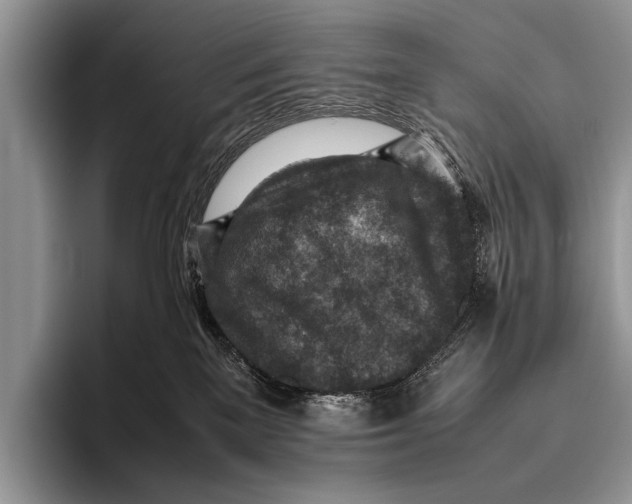 X0000095940137200802081245