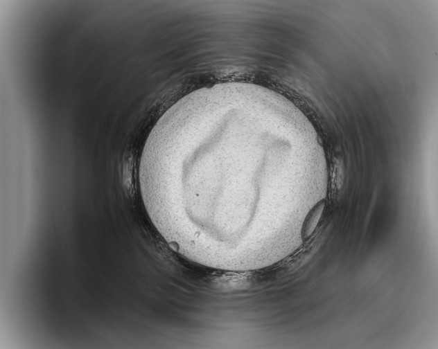 X0000095940138200802081245