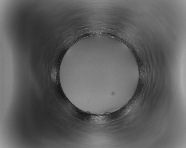 X0000095940139200802081245