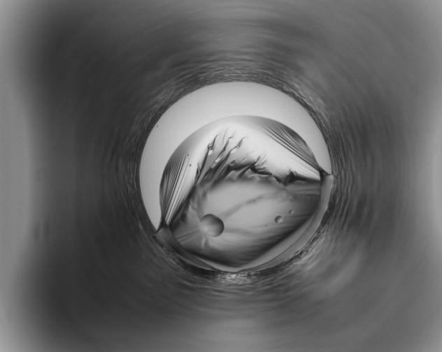 X0000095940141200802081245