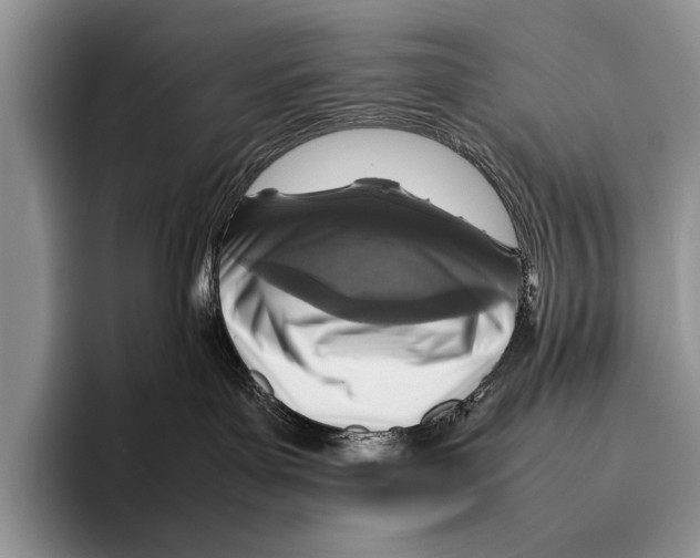 X0000095940143200802081245