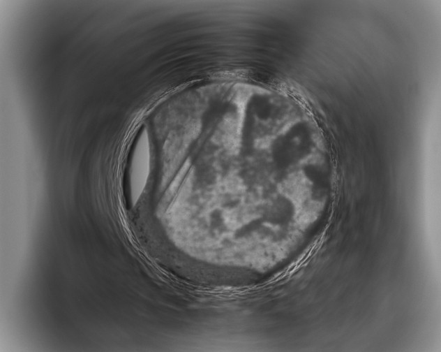 X0000095940145200802081244